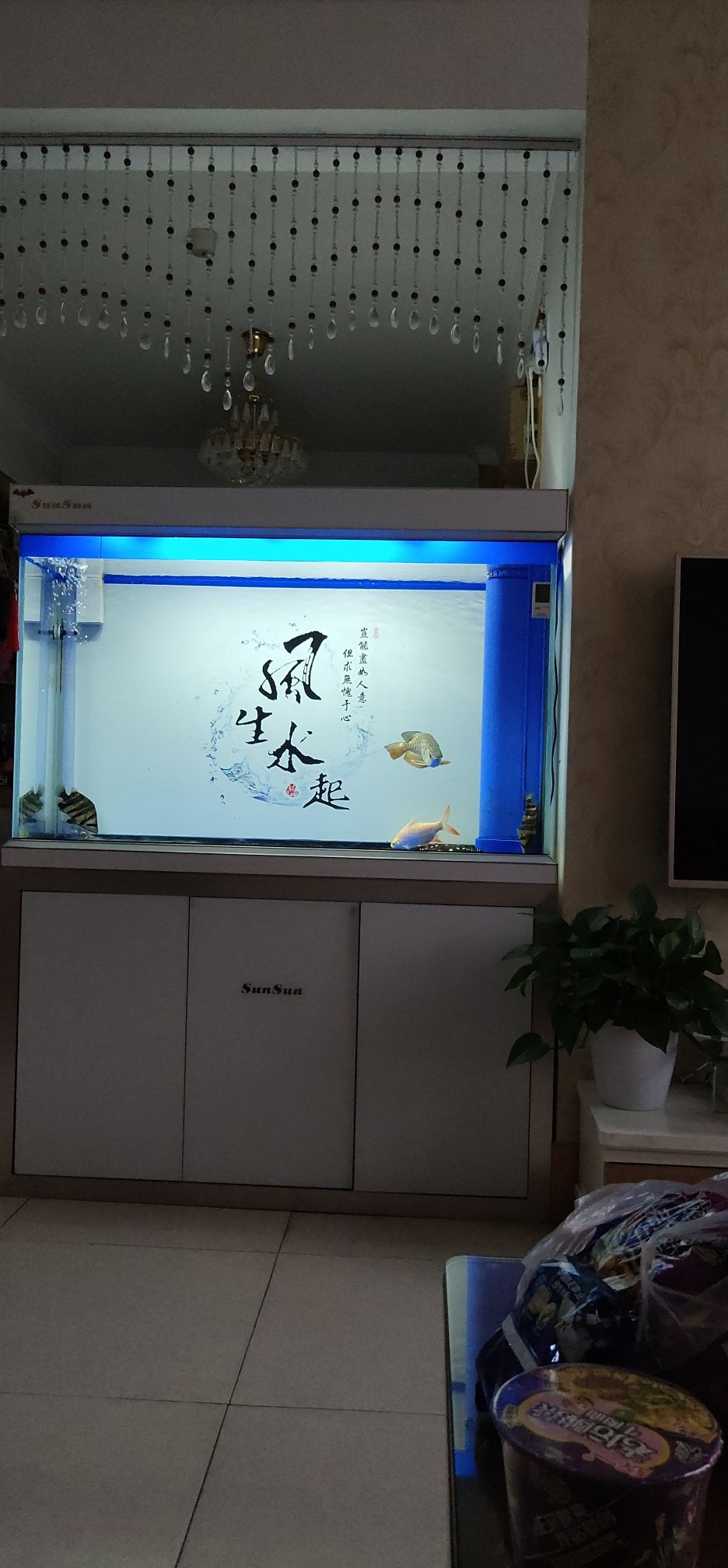 魚缸制作流程圖解（魚缸制作流程圖解說明） 非洲象鼻魚