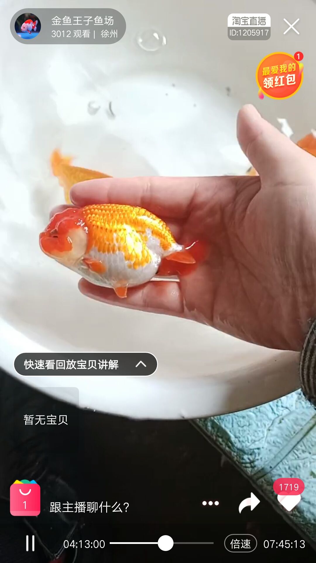 這幾條蘭壽怎么樣??？ 觀賞魚論壇 第2張