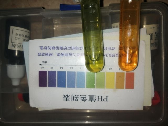 PH值變化也太快了 觀賞魚論壇 第1張