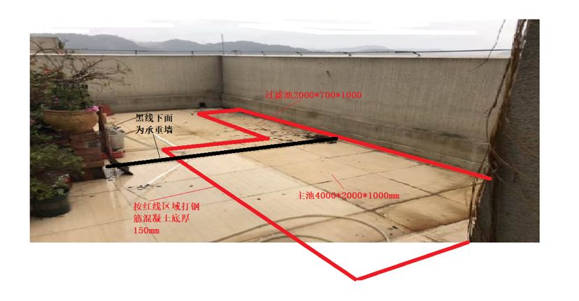 樓頂4米x2米錦鯉池 觀賞魚論壇 第1張