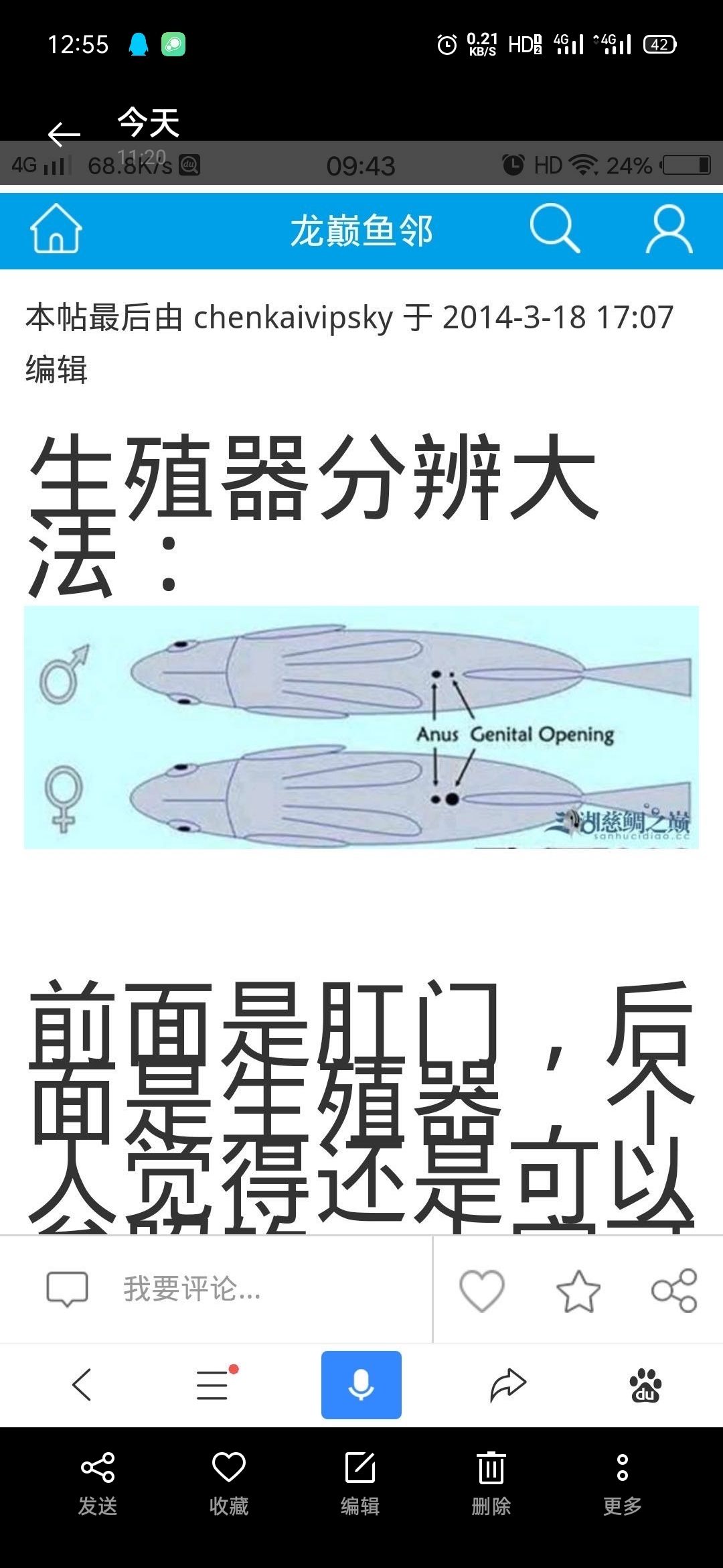 前輩幫忙看看公母吧 觀賞魚論壇 第3張