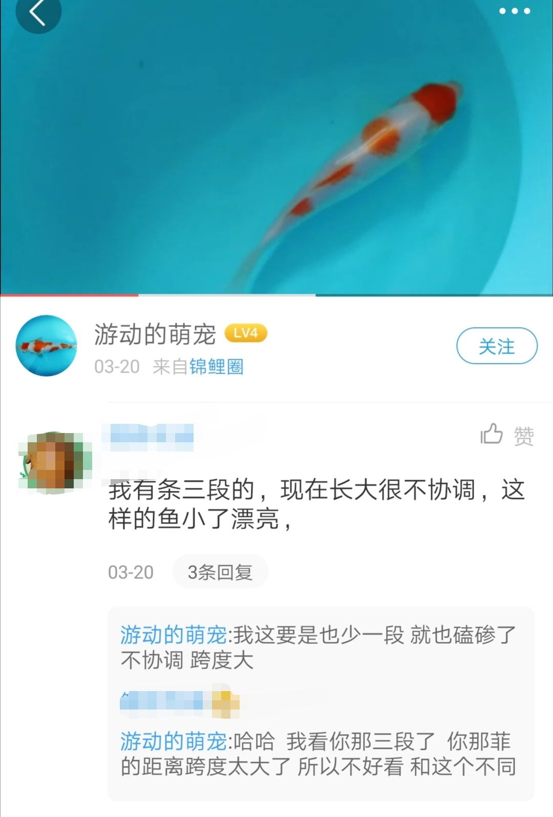 大家快來幫幫忙吧這位漁友搞不懂了 觀賞魚論壇 第6張