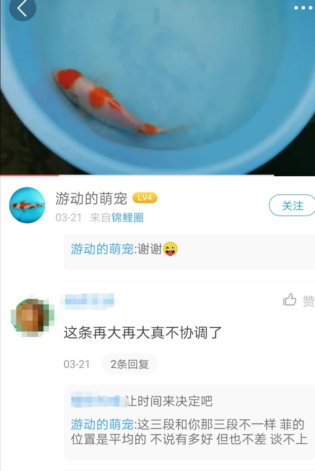 大家快來幫幫忙吧這位漁友搞不懂了 觀賞魚論壇 第5張