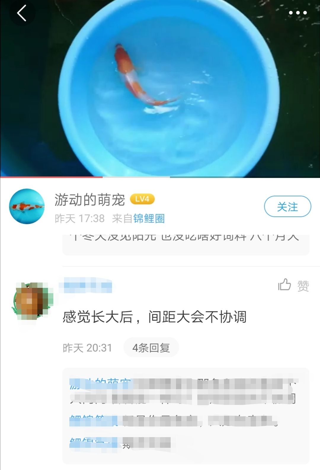 大家快來幫幫忙吧這位漁友搞不懂了 觀賞魚論壇 第7張