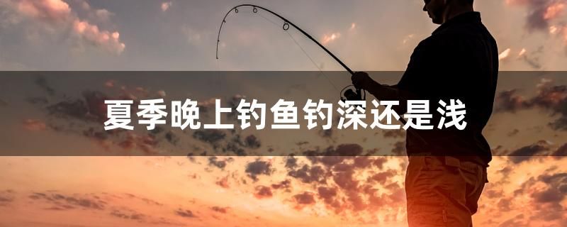 夏季晚上釣魚(yú)釣深還是淺 申古銀版魚(yú) 第1張