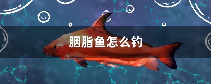 胭脂魚怎么釣