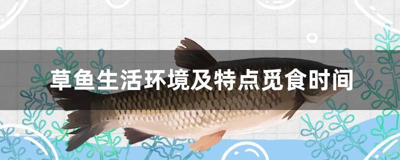 草魚生活環(huán)境及特點覓食時間 戰(zhàn)車紅龍魚 第1張