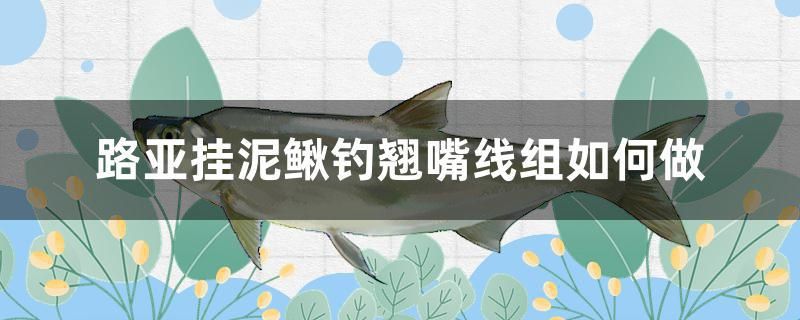 路亞掛泥鰍釣翹嘴線組如何做 龍魚專用燈 第1張