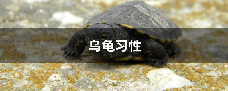 上海上門舊魚缸回收電話號碼 上海上門舊魚缸回收電話號碼多少