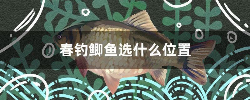 春釣鯽魚(yú)選什么位置