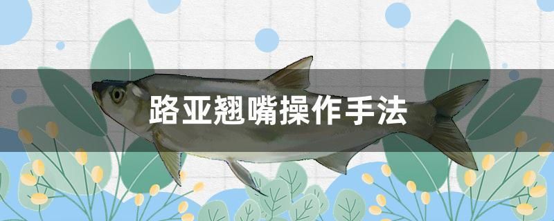 路亞翹嘴操作手法 水族用品