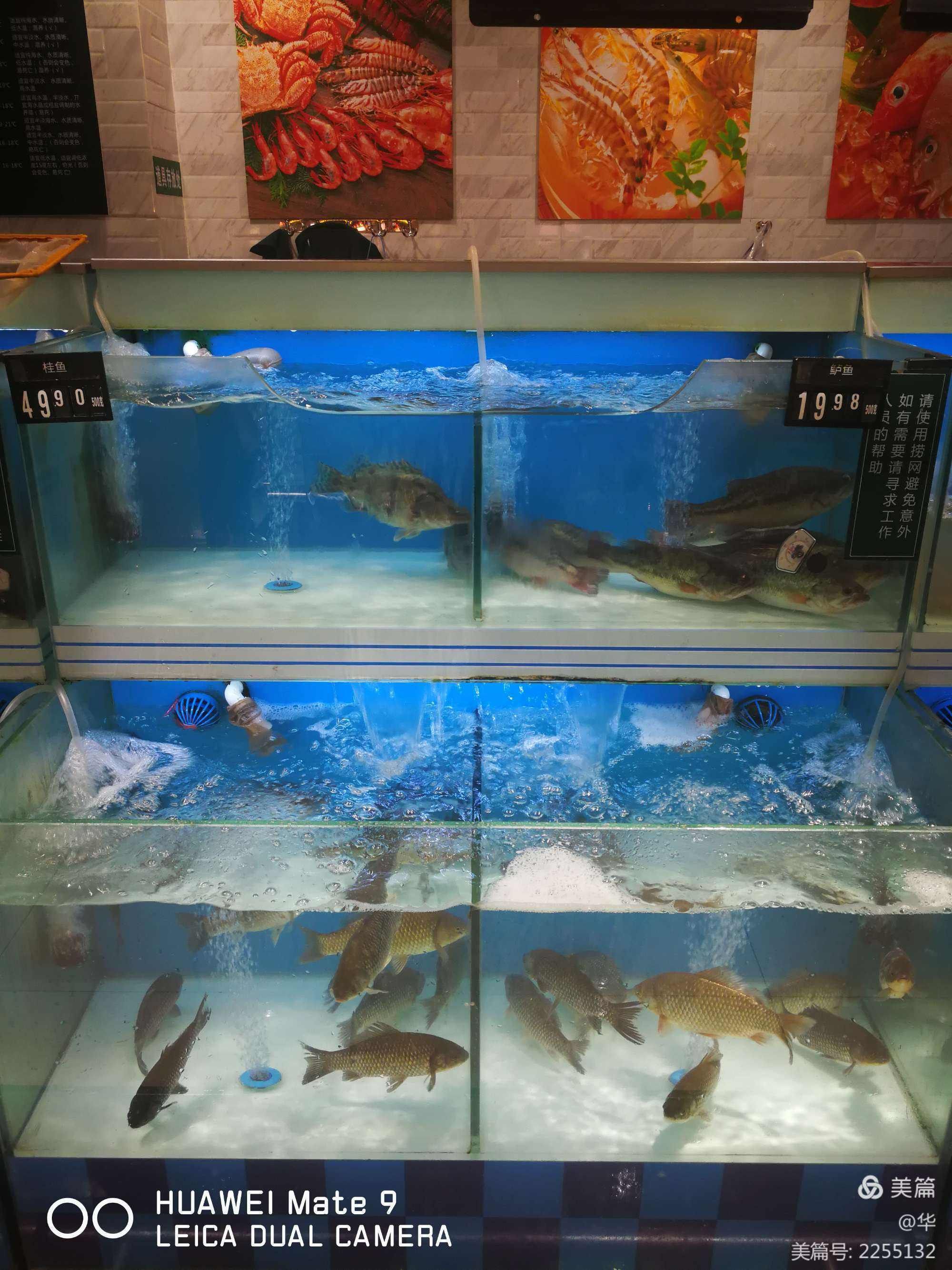 蕭山哪里有賣魚缸便宜的店(蕭山哪里有賣魚缸便宜的店鋪)