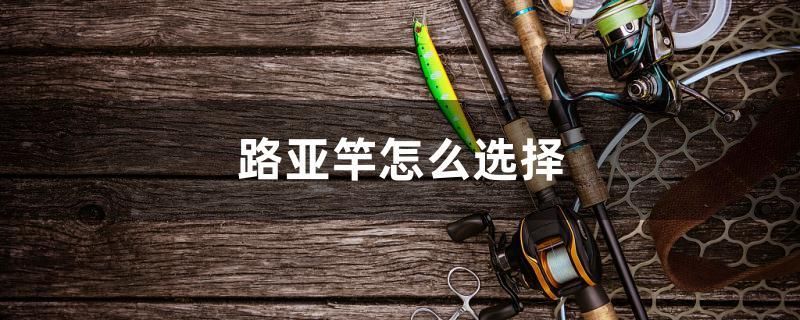 路亞竿怎么選擇 祥龍魚藥系列