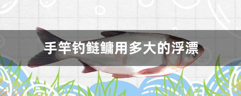 手竿釣鰱鳙用多大的浮漂 魚缸清潔用具