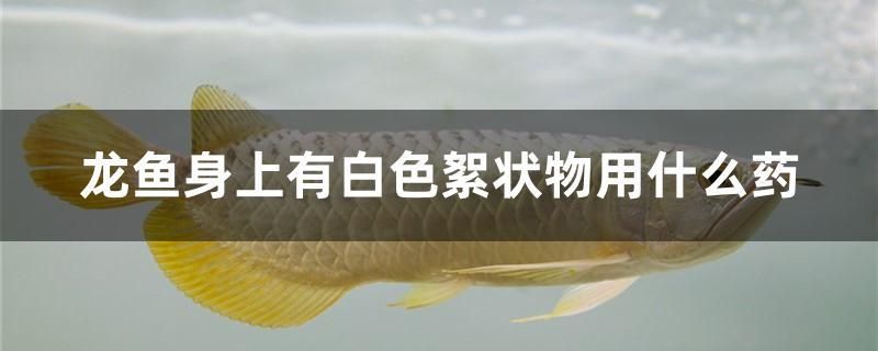 龍魚身上有白色絮狀物用什么藥