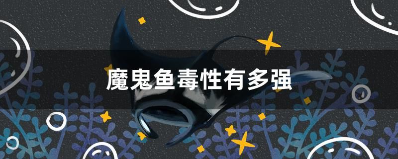 魔鬼魚毒性有多強(qiáng) 文玩