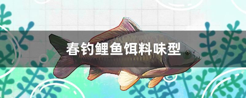 春釣鯉魚餌料味型 紅眼黃化幽靈火箭魚|皇家火箭魚