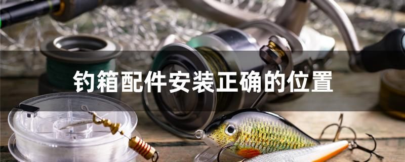 釣箱配件安裝正確的位置 九鼎魚(yú)缸