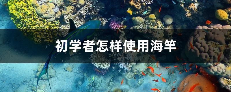 廣州市荔灣區(qū)吳郭氏水族店 全國水族館企業(yè)名錄