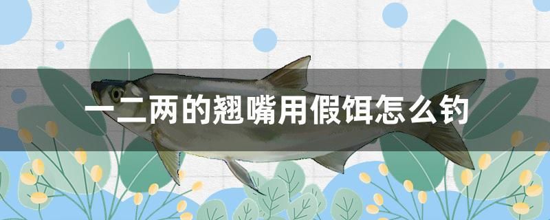 一二兩的翹嘴用假餌怎么釣 紅白錦鯉魚(yú)