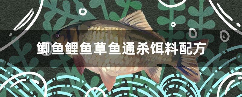 鯽魚鯉魚草魚通殺餌料配方 赤焰中國虎魚