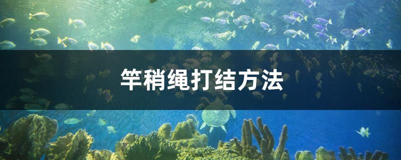 竿稍繩打結(jié)方法 帝王三間魚(yú)