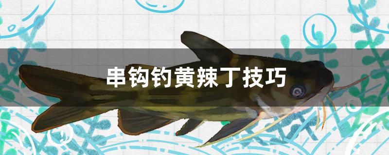 串鉤釣黃辣丁技巧 觀賞魚(yú)飼料