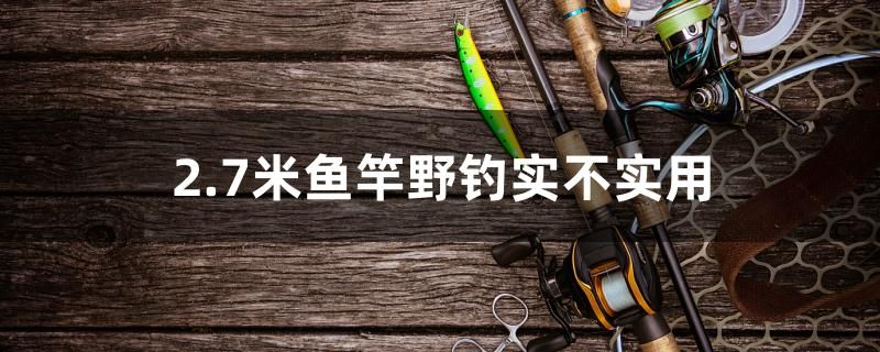 2.7米魚竿野釣實(shí)不實(shí)用 朱巴利魚