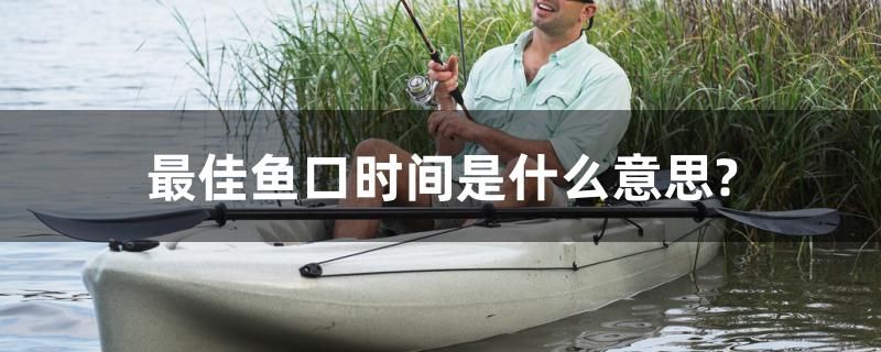 最佳魚口時(shí)間是什么意思？ 狗狗（犬）