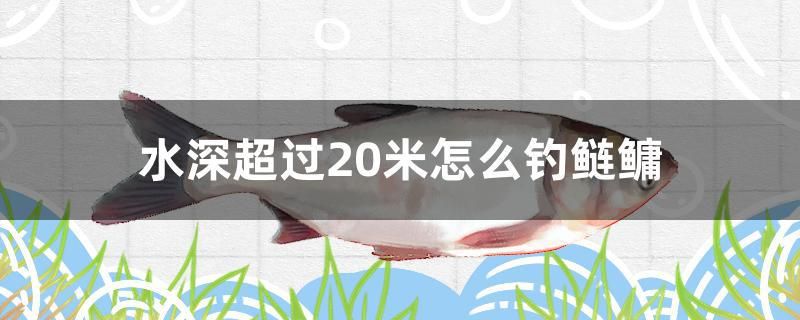 水深超過(guò)20米怎么釣鰱鳙