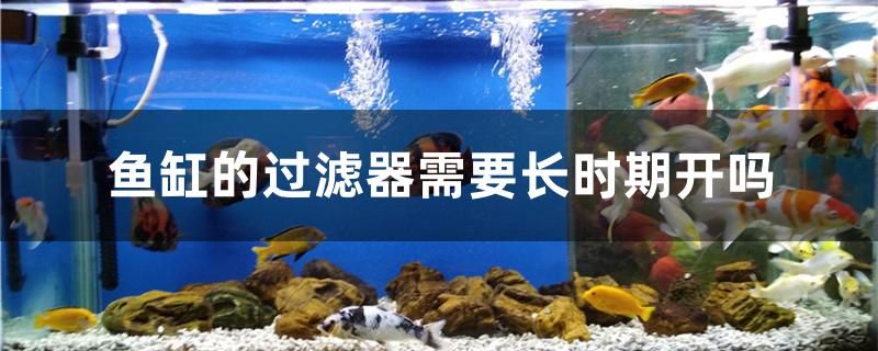 魚(yú)缸的過(guò)濾器需要長(zhǎng)時(shí)期開(kāi)嗎