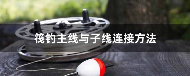 筏釣主線與子線連接方法 定時(shí)器/自控系統(tǒng)