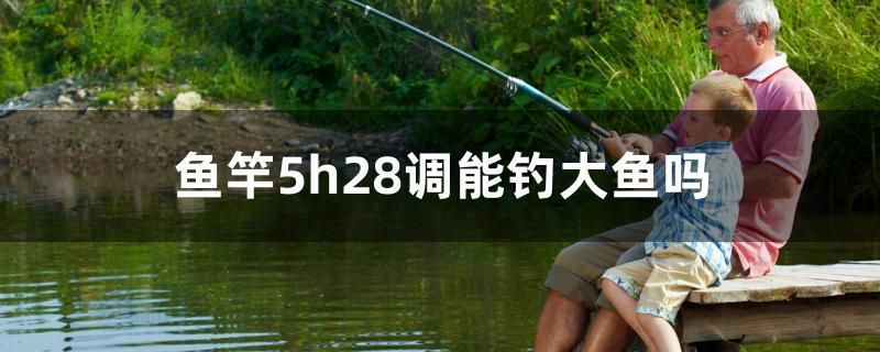 魚竿5h28調(diào)能釣大魚嗎 黃鰭鯧魚