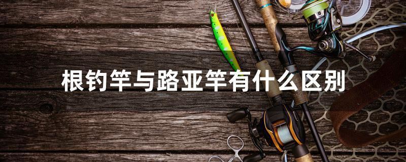 根釣竿與路亞竿有什么區(qū)別 廣州水族批發(fā)市場