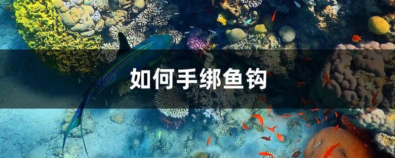 如何手綁?mèng)~鉤 過(guò)背金龍魚(yú)