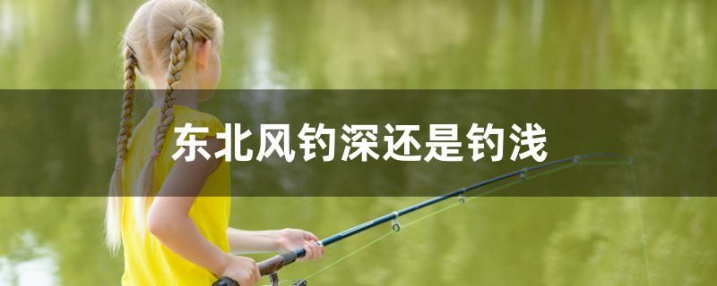 東北風(fēng)釣深還是釣淺 月光鴨嘴魚苗