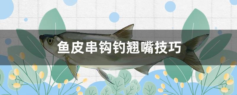 魚皮串鉤釣翹嘴技巧 埃及神仙魚