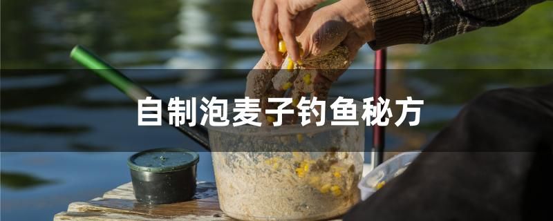 自制泡麥子釣魚秘方 豬鼻龜