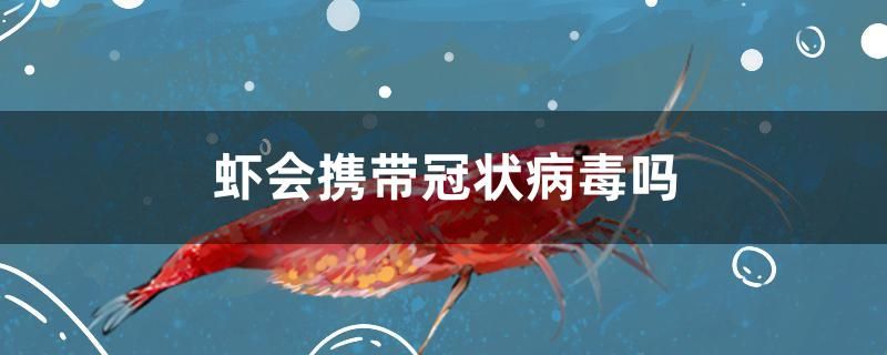 蝦會(huì)攜帶冠狀病毒嗎 森森魚(yú)缸