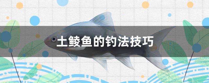 土鯪魚的釣法技巧