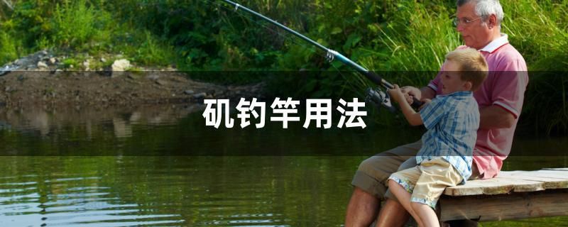 磯釣竿用法 朱巴利魚苗