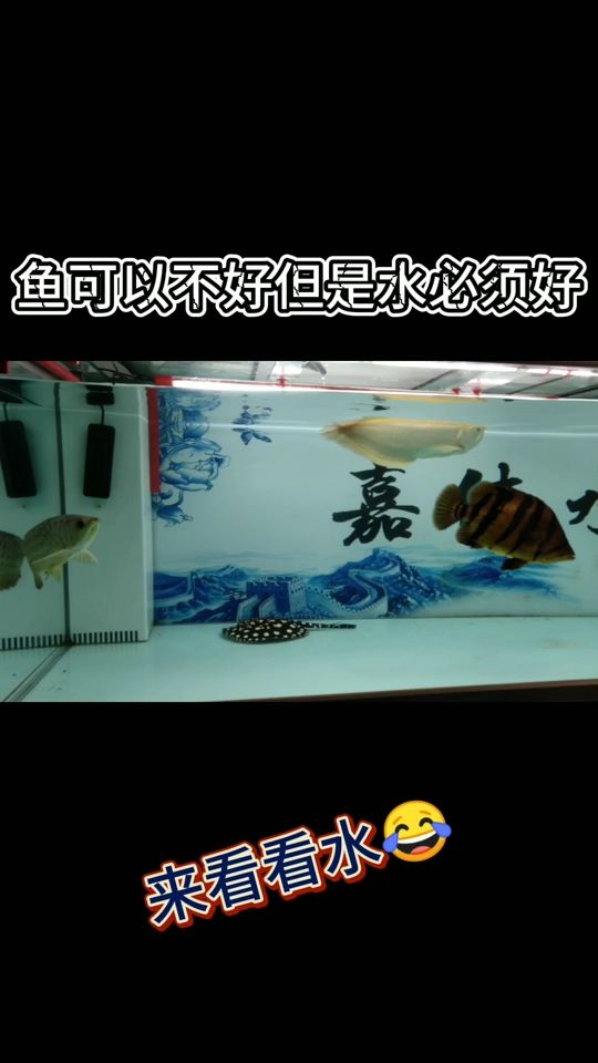 擦缸辛苦，只為水好 觀賞魚論壇 第1張