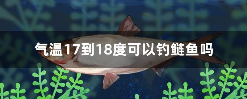 氣溫17到18度可以釣鰱魚嗎 豬鼻龜