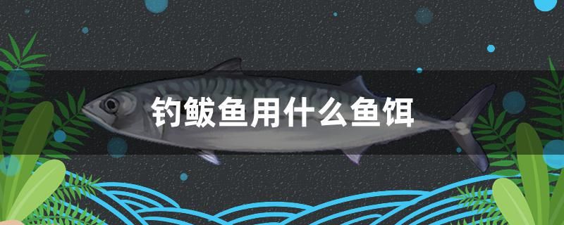 釣鲅魚用什么魚餌