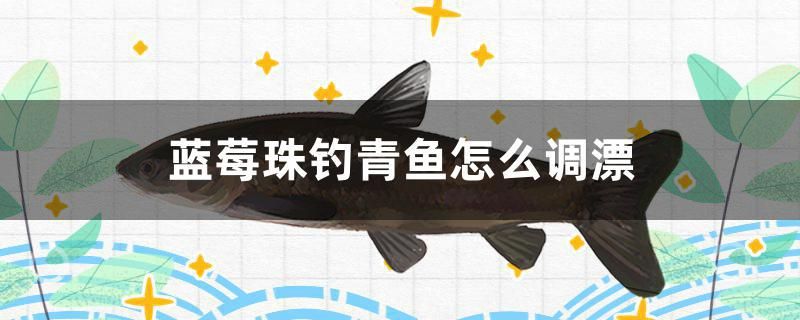 藍莓珠釣青魚怎么調漂 熊貓異形魚L46