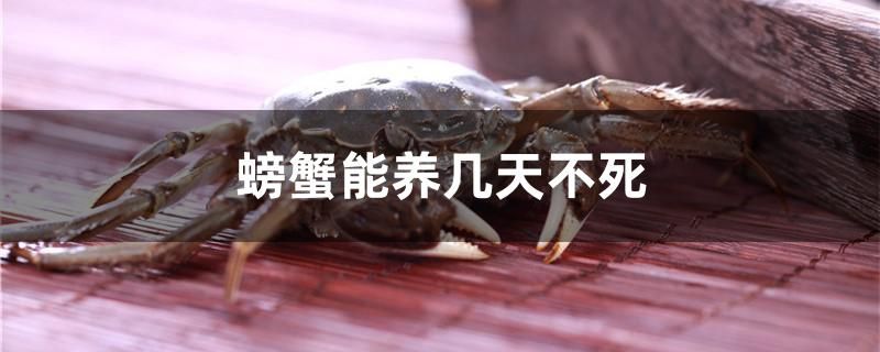 螃蟹能養(yǎng)幾天不死 進(jìn)口元寶鳳凰魚(yú)