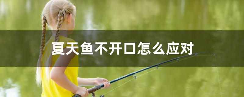 夏天魚不開口怎么應對 女王大帆魚苗