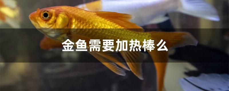 宜春魚缸清洗服務(wù)中心電話地址（ 宜春哪里有漁具店） 祥龍水族護理水