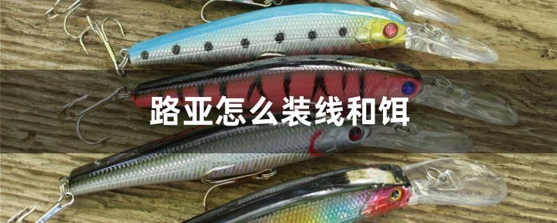 路亞怎么裝線和餌 帝王三間魚