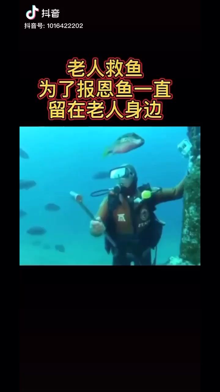 魚也懂得 觀賞魚論壇 第1張